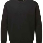 Anthem Organic Sweatshirt