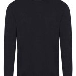 Ecologie Unisex Arenal Sustainable Crew Neck Sweater