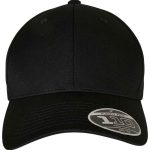 Flexfit 110 Curved Visor Snapback Cap